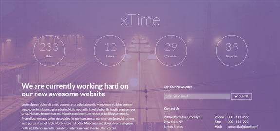 xtheme wordpress theme