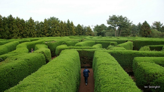 maze