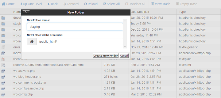 Create New Folder For Staging Environment For WordPress