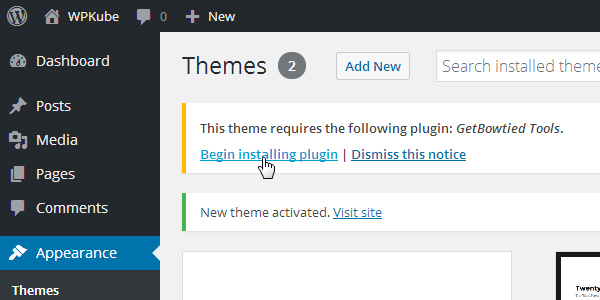 Install Theme Plugins