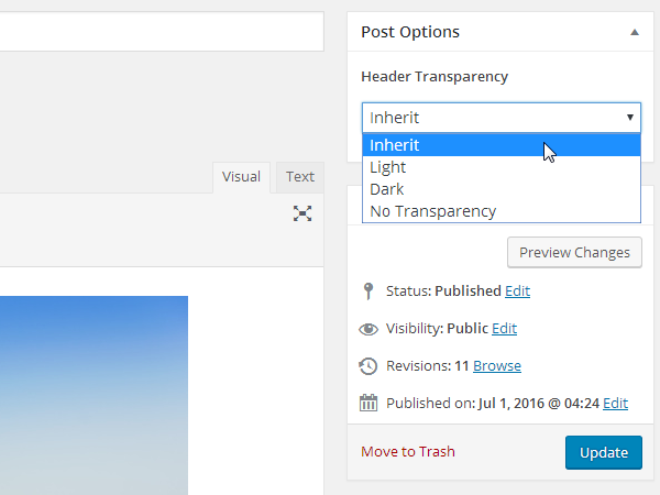Merchandiser Header Transparency