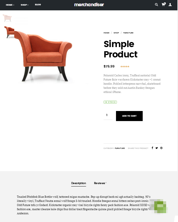 Merchandiser Simple Product Page