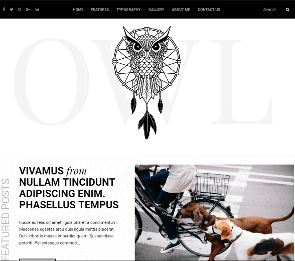 Owl