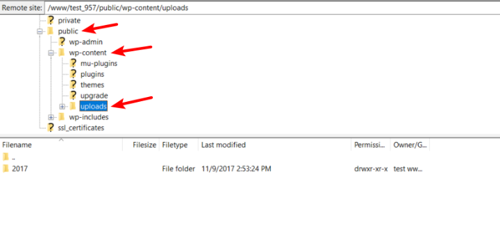 /wp-content/uploads/sites/