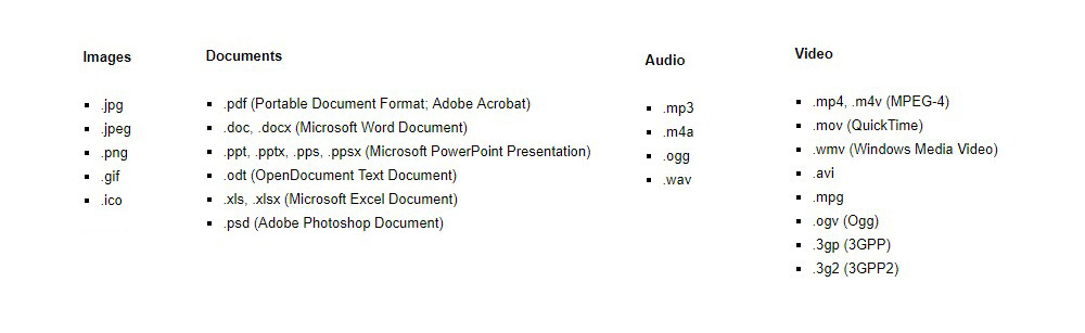 wordpress supported file types