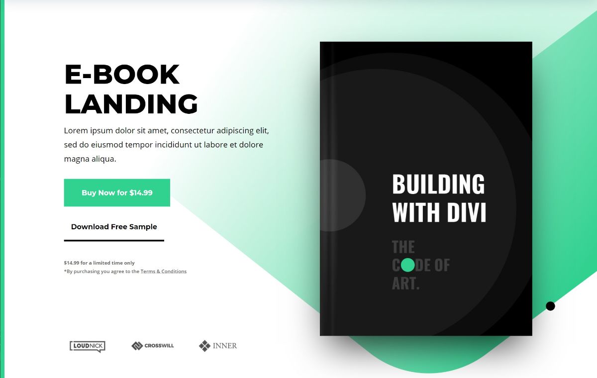 Divi landing page template