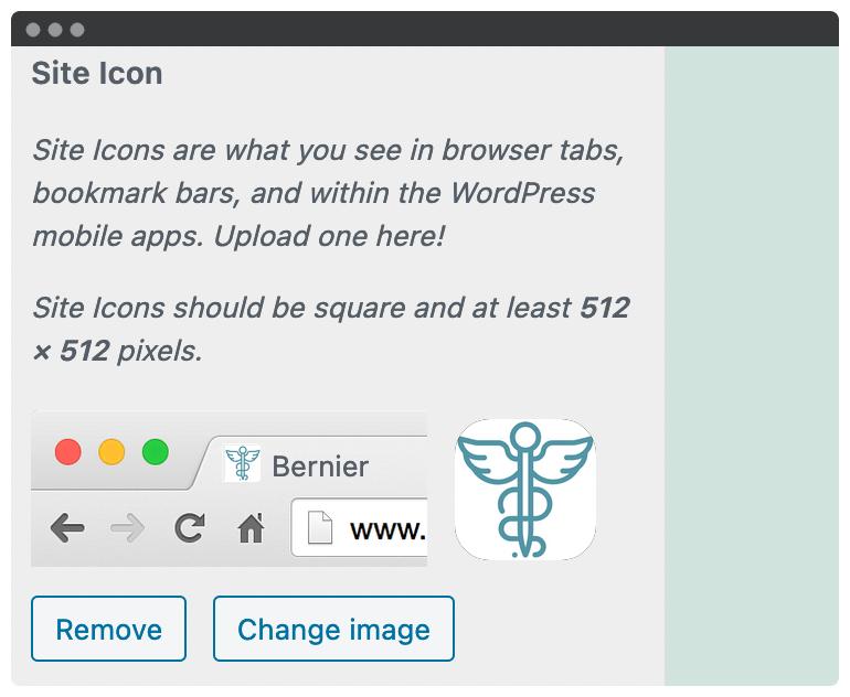 A site icon displayed within WordPress.