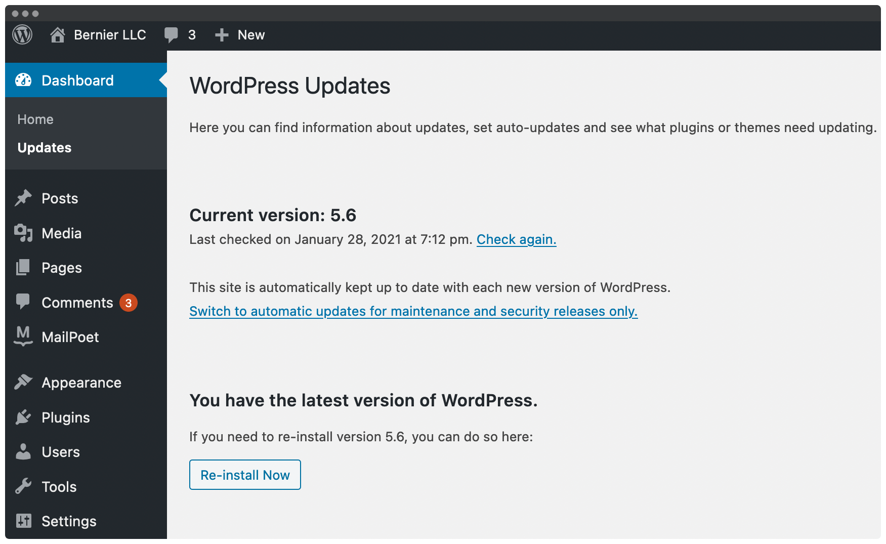 The WordPress Updates page.