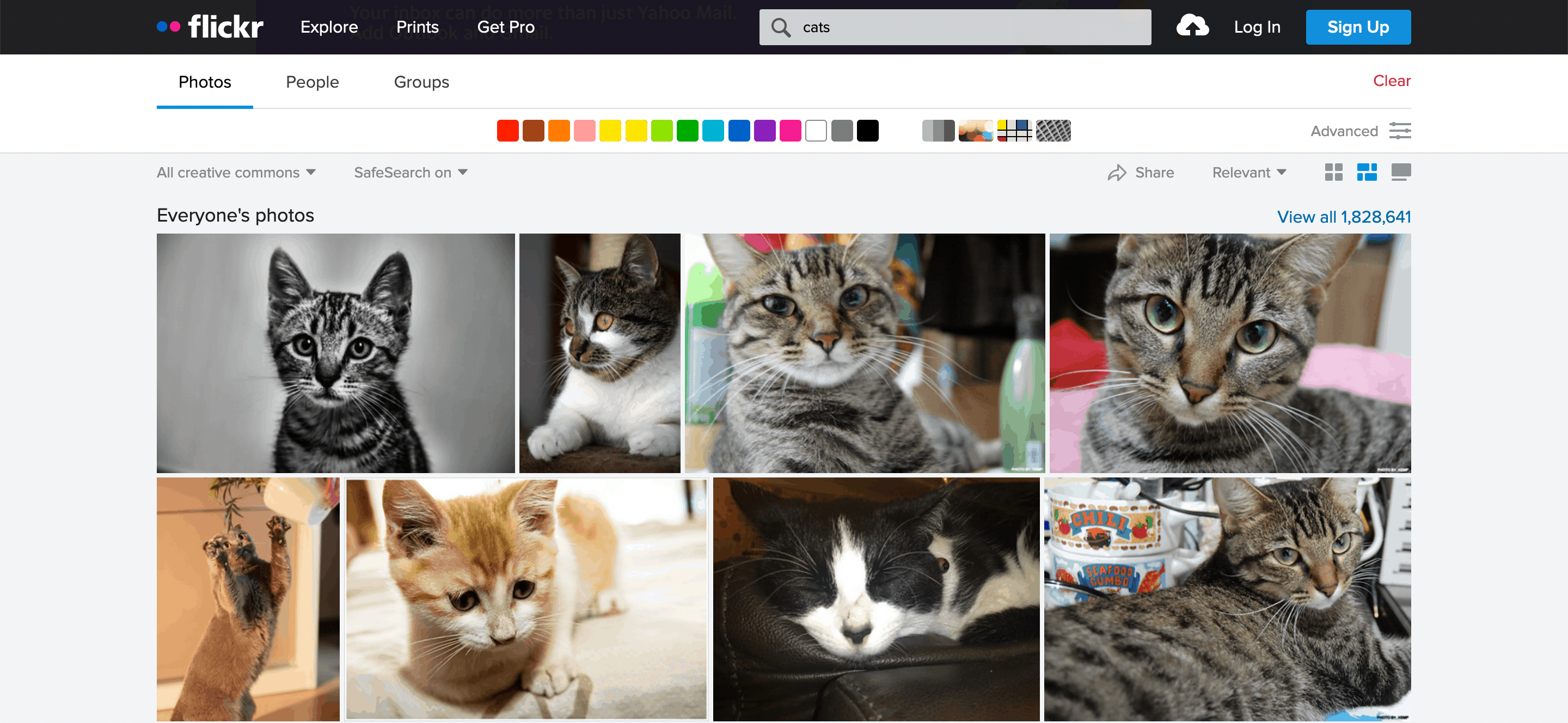 The Flickr website.