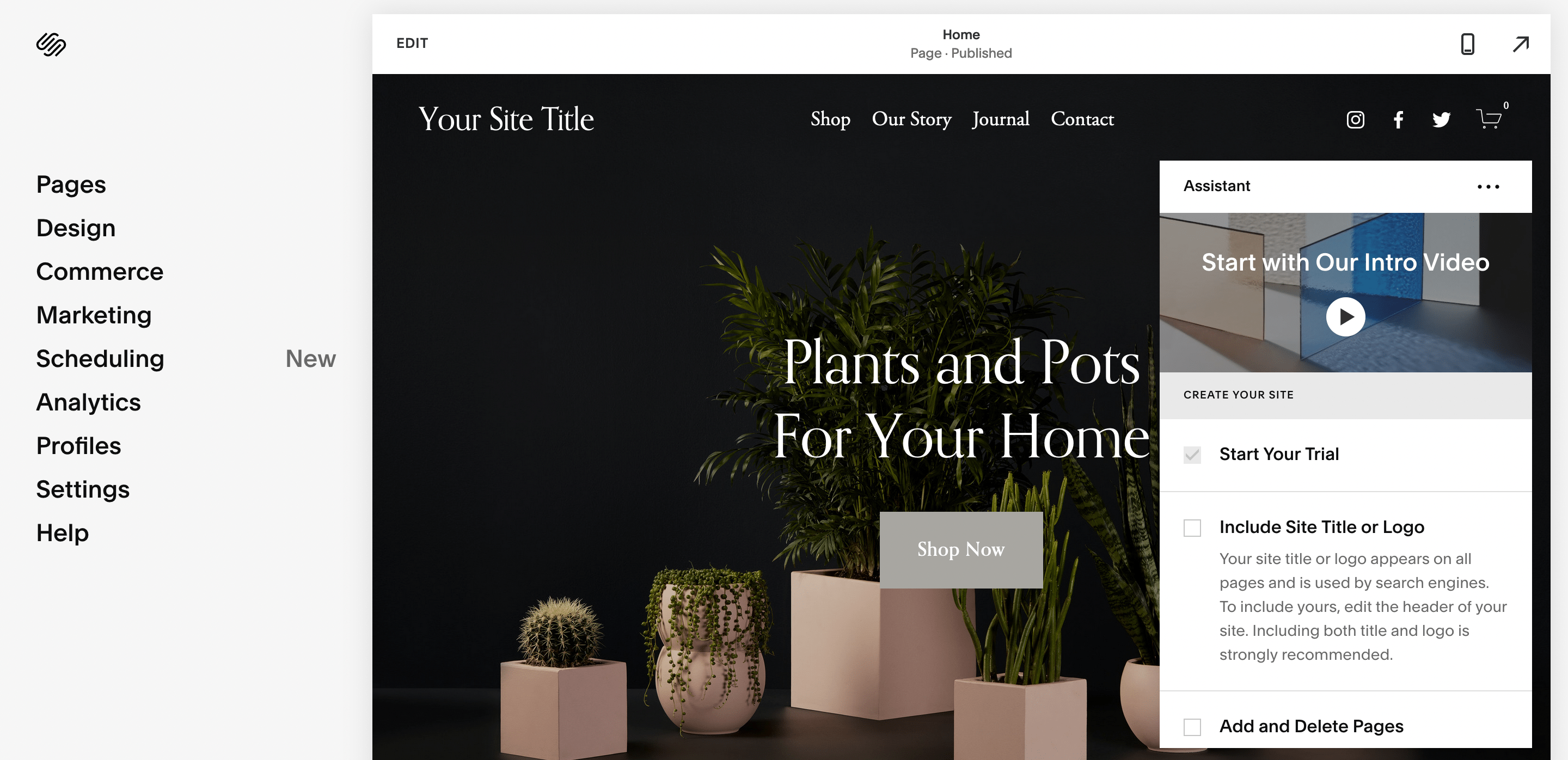 The main Squarespace edit page.