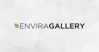 Envira Gallery Coupon