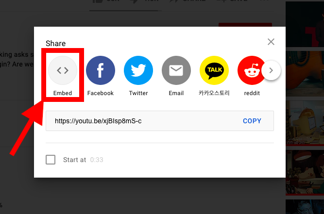 Youtube embed option