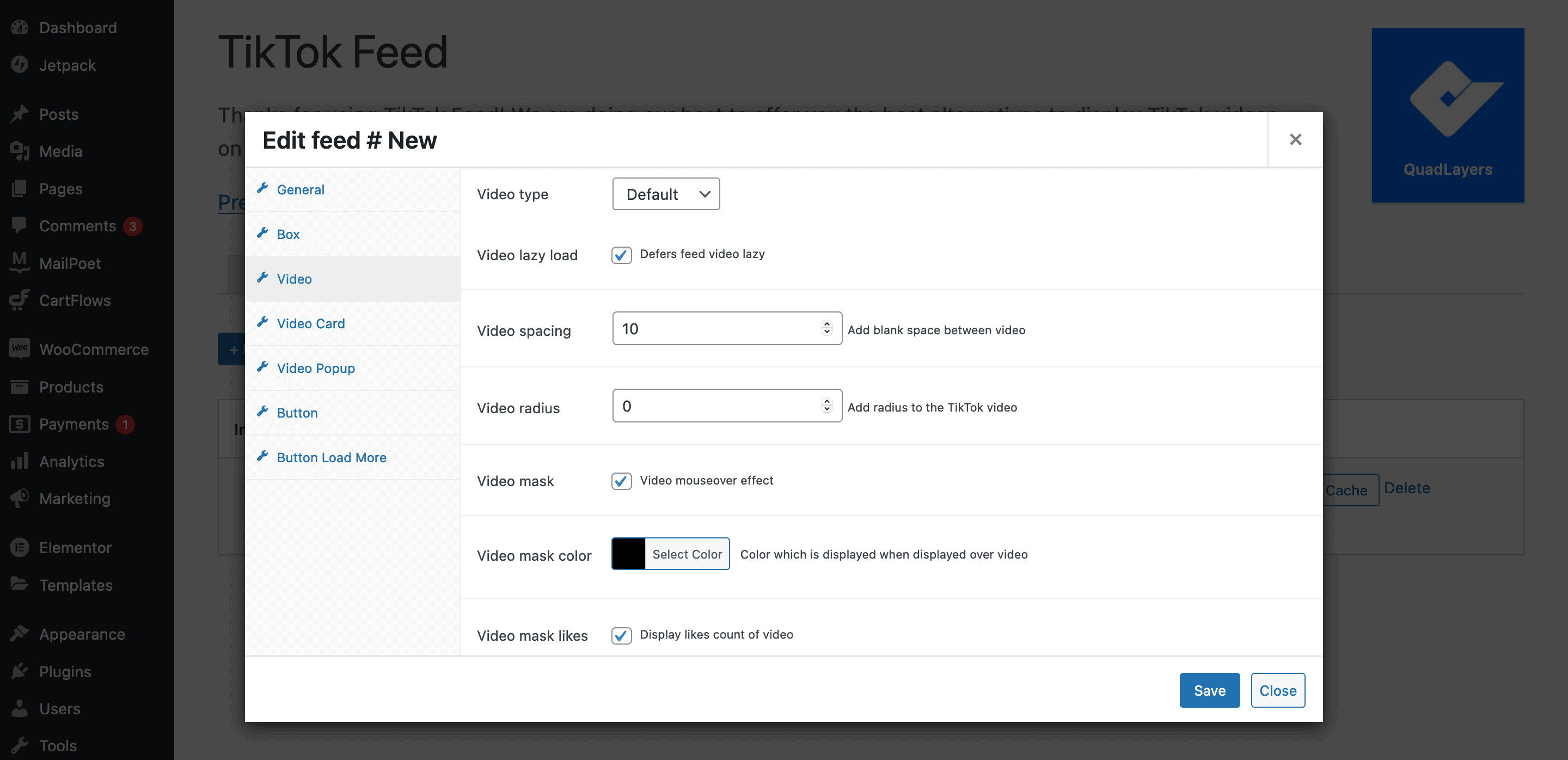 Changing video settings in the WP TikTok Feed button.