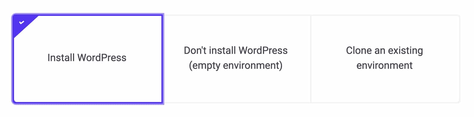 Is This WordPress Host Worth the Investment? 2 Installing WordPress on Kinsta