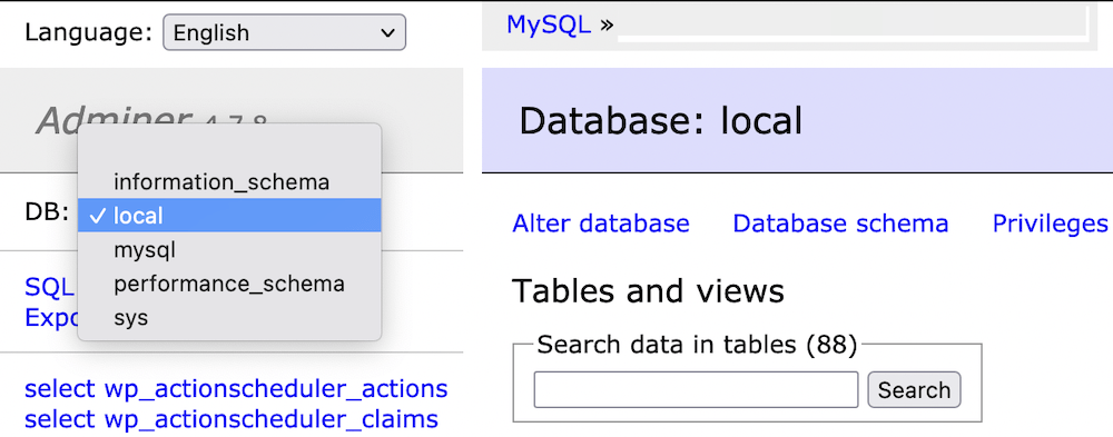 Choosing a database in Adminer.