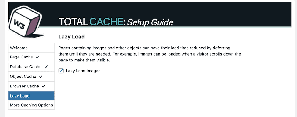 The Lazy Load section of the W3 Total Cache plugin Setup Guide.