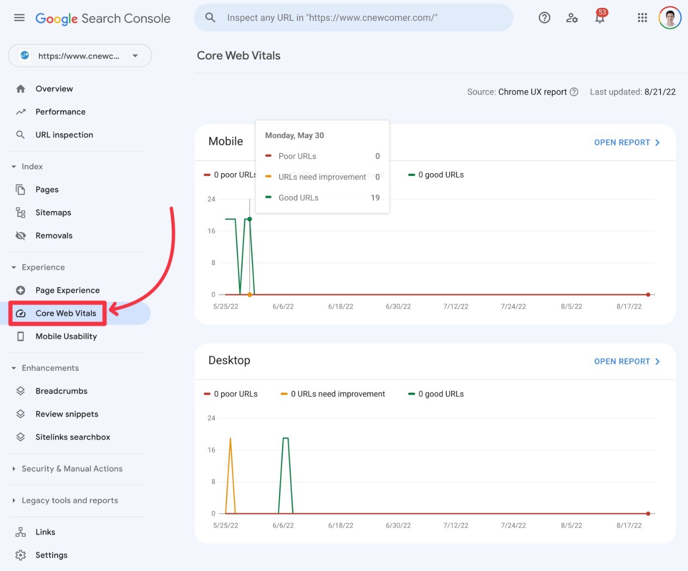 Core Web Vitals report Search Console