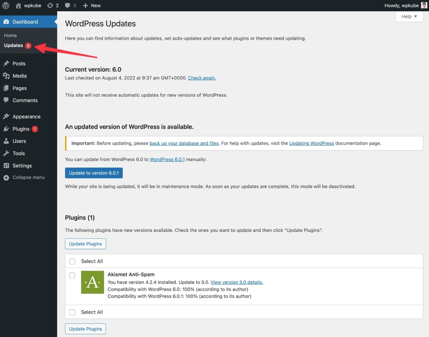 Applying WordPress updates is essential for WordPress security