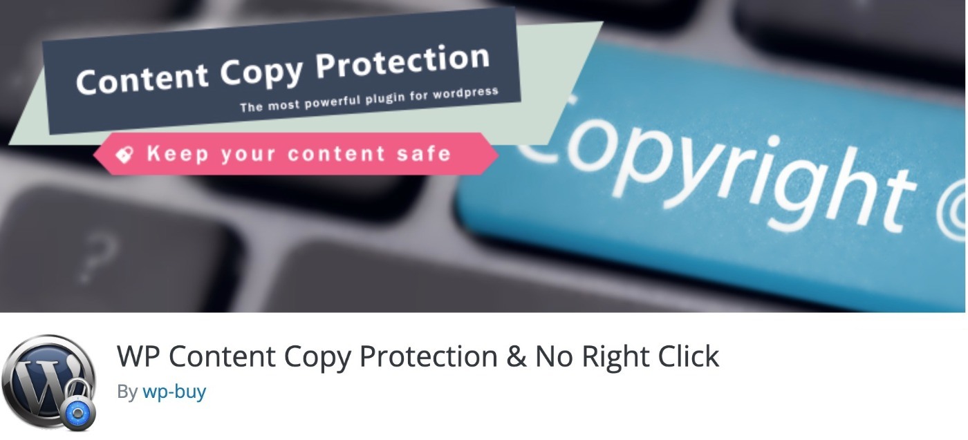 WP Conetnt Copy Protection