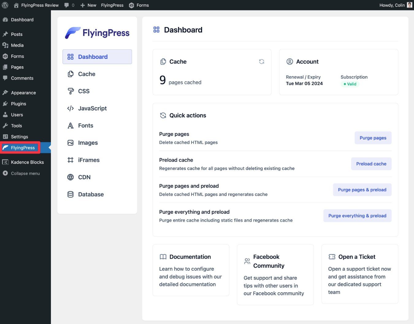 FlyingPress dashboard review